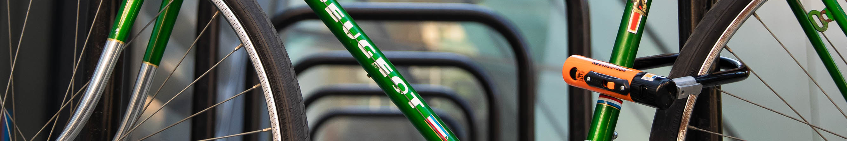 BICYCLE LOCKS
