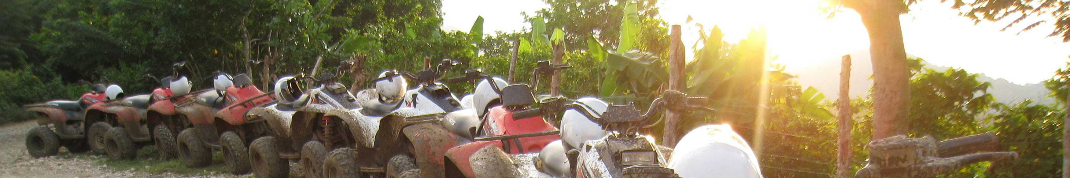 ATV-UTV Locks