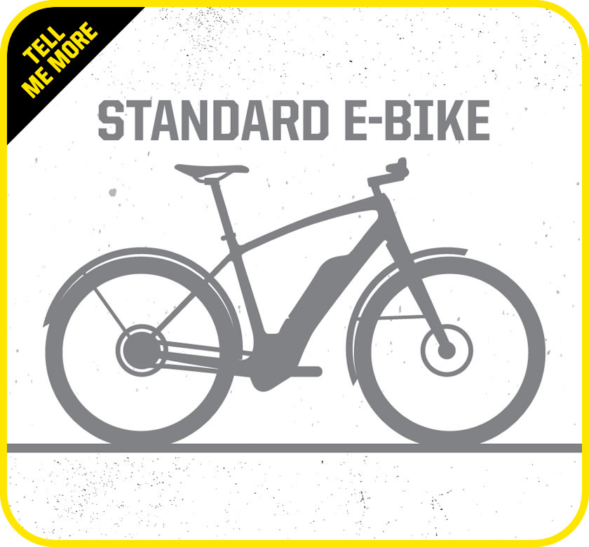 standard e-bike